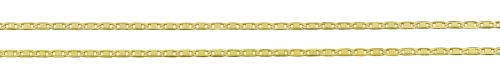 DSC_0555-removebg (1).png