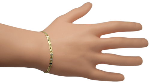 DSC_0868-removebg.png