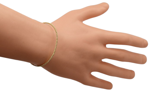 DSC_6024-removebg-removebg (1).png