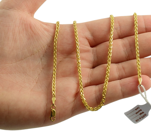 DSC_0487-removebg (1).png