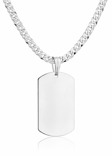 Srebrny naszyjnik z pustą zawieszką.png